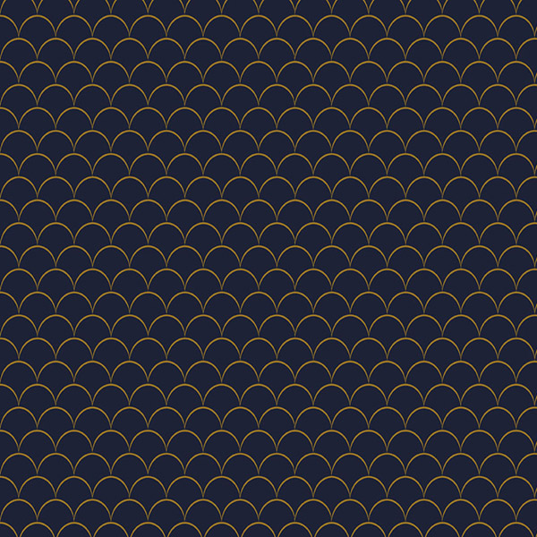 LITTLE　SCALES ネイビー