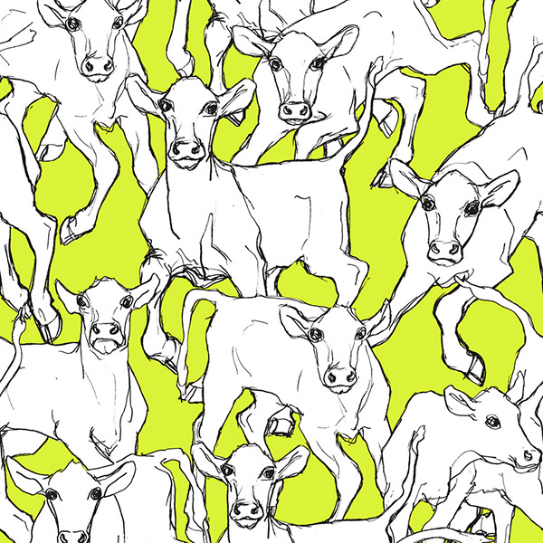 ILTAVILLI グリーン