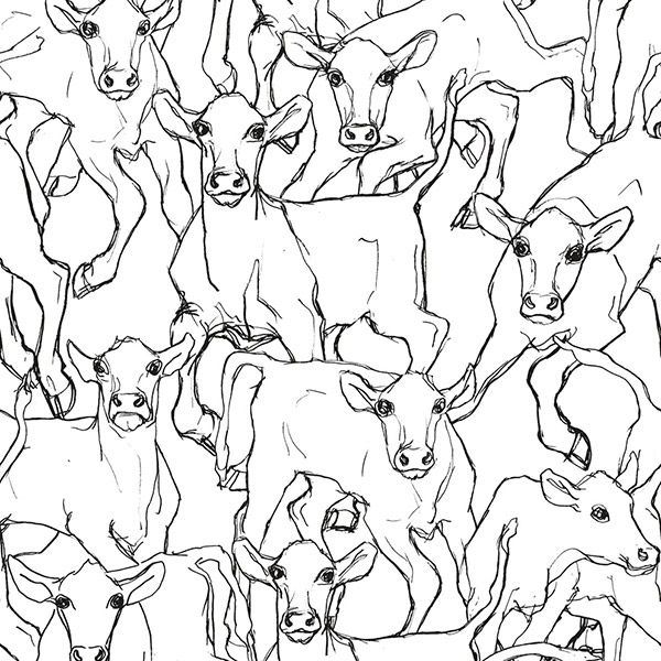 ILTAVILLI ホワイト