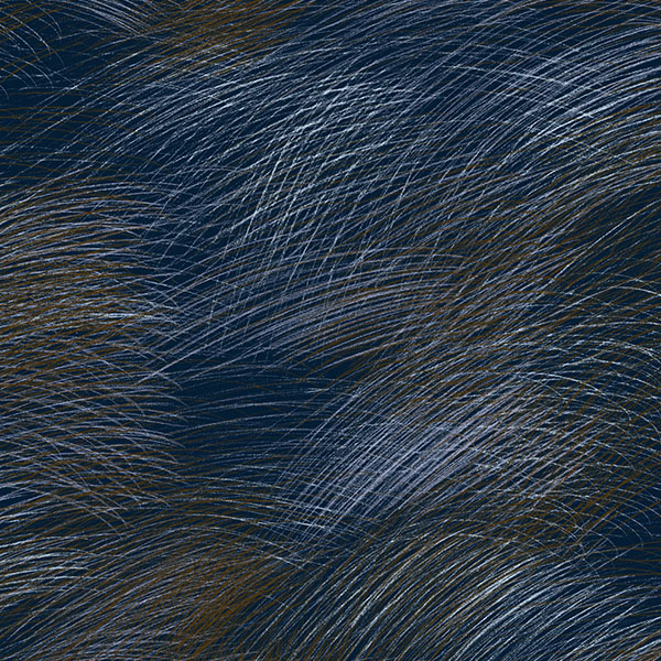 LEPO ダークブルー