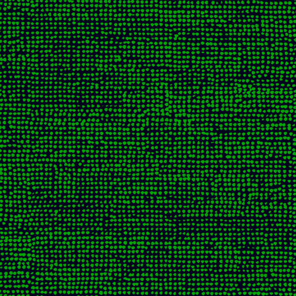 ORKANEN グリーン